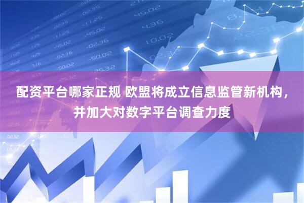 配资平台哪家正规 欧盟将成立信息监管新机构，并加大对数字平台调查力度