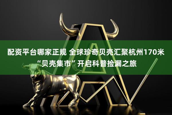 配资平台哪家正规 全球珍奇贝壳汇聚杭州170米“贝壳集市”开启科普捡漏之旅