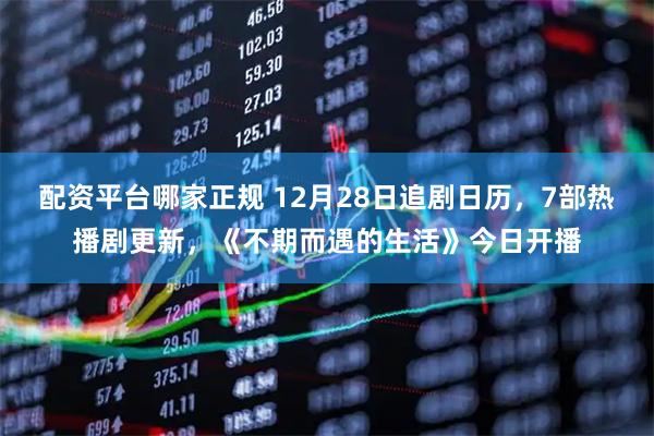 配资平台哪家正规 12月28日追剧日历，7部热播剧更新，《不期而遇的生活》今日开播