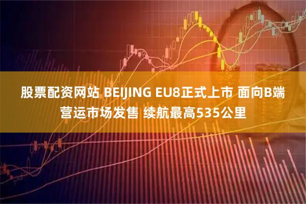 股票配资网站 BEIJING EU8正式上市 面向B端营运市场发售 续航最高535公里